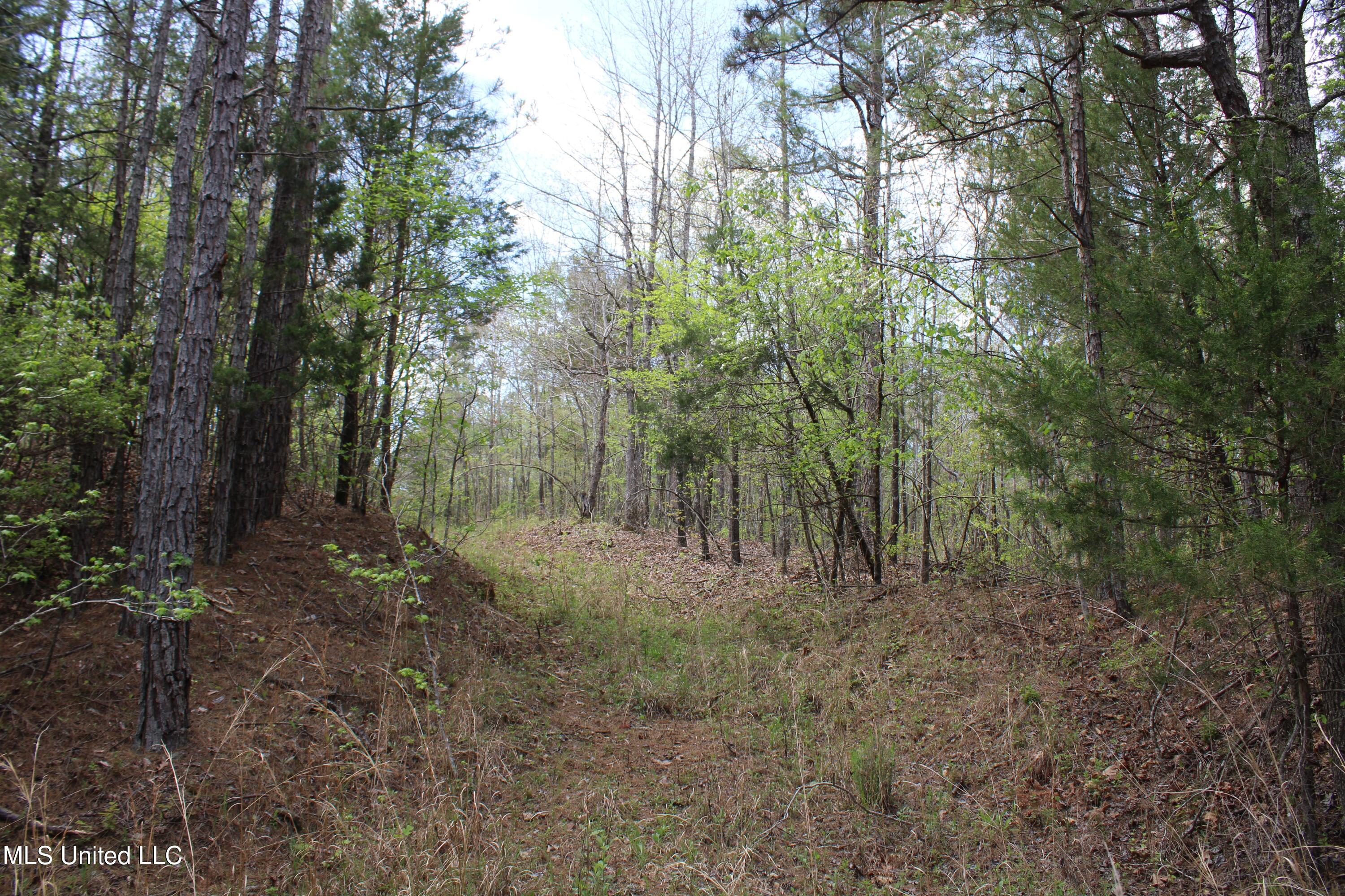 5200 Blackjack Road Ashland, MS 38603 - Photo 42 of 49 IMG_3681