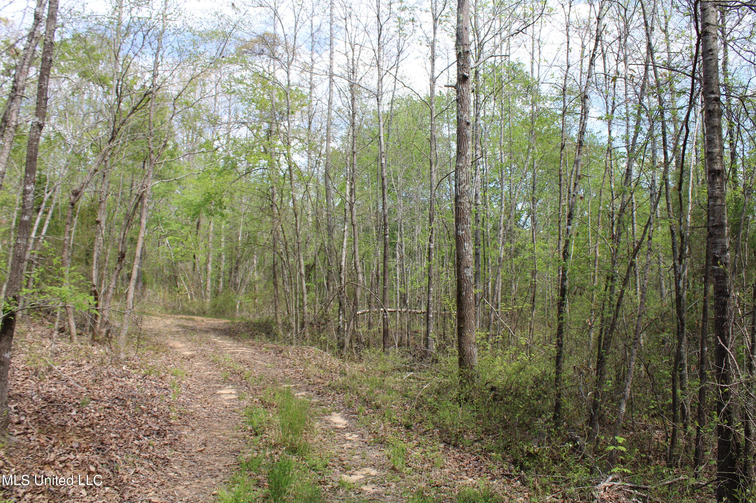 5200 Blackjack Road Ashland, MS 38603 - Photo 45 of 49 IMG_3688