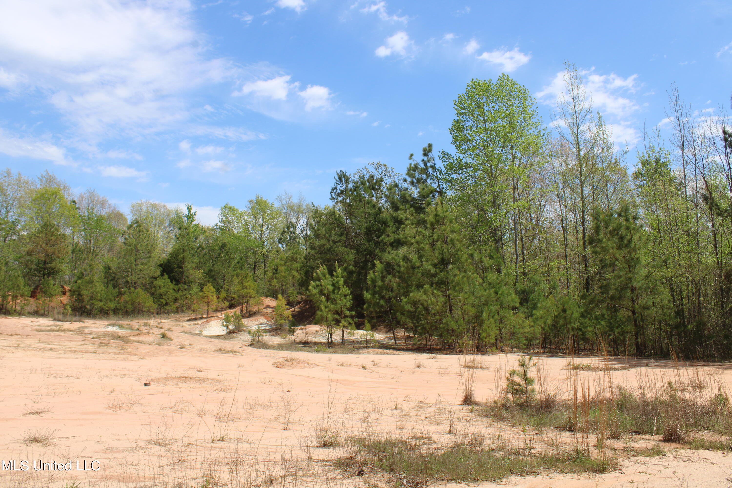 5200 Blackjack Road Ashland, MS 38603 - Photo 5 of 49 IMG_3655