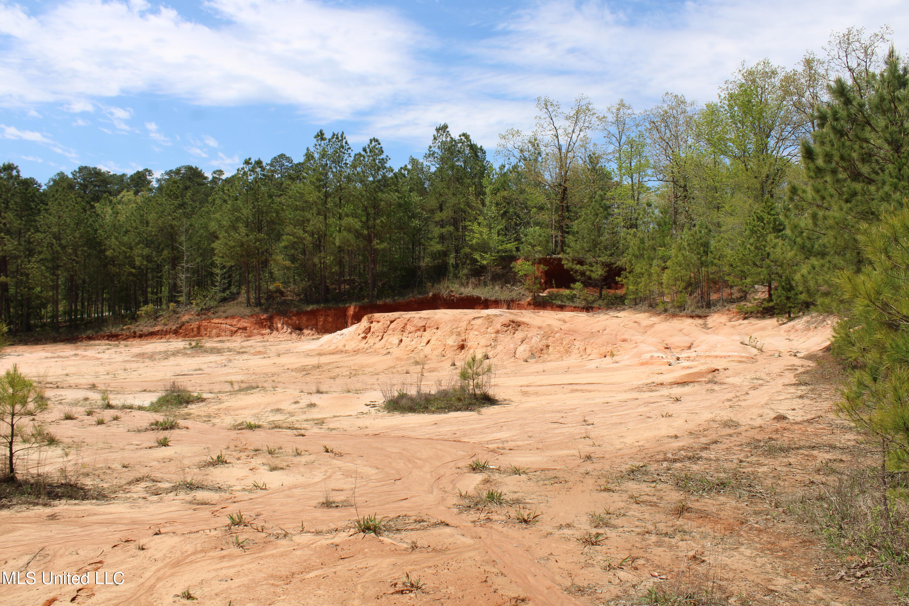 5200 Blackjack Road Ashland, MS 38603 - Photo 6 of 49 IMG_3656