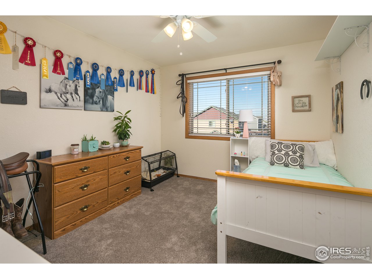 7306 23rd St Road Greeley, CO 80634 - Photo 22 of 40 2nd Upstairs Bedroom
