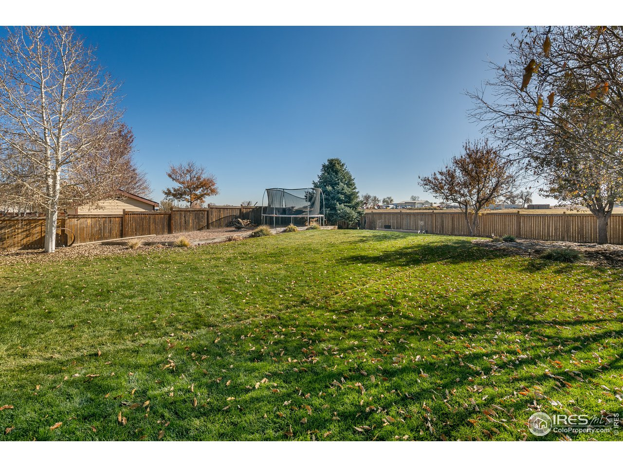 7306 23rd St Road Greeley, CO 80634 - Photo 31 of 40 Large Back Yard