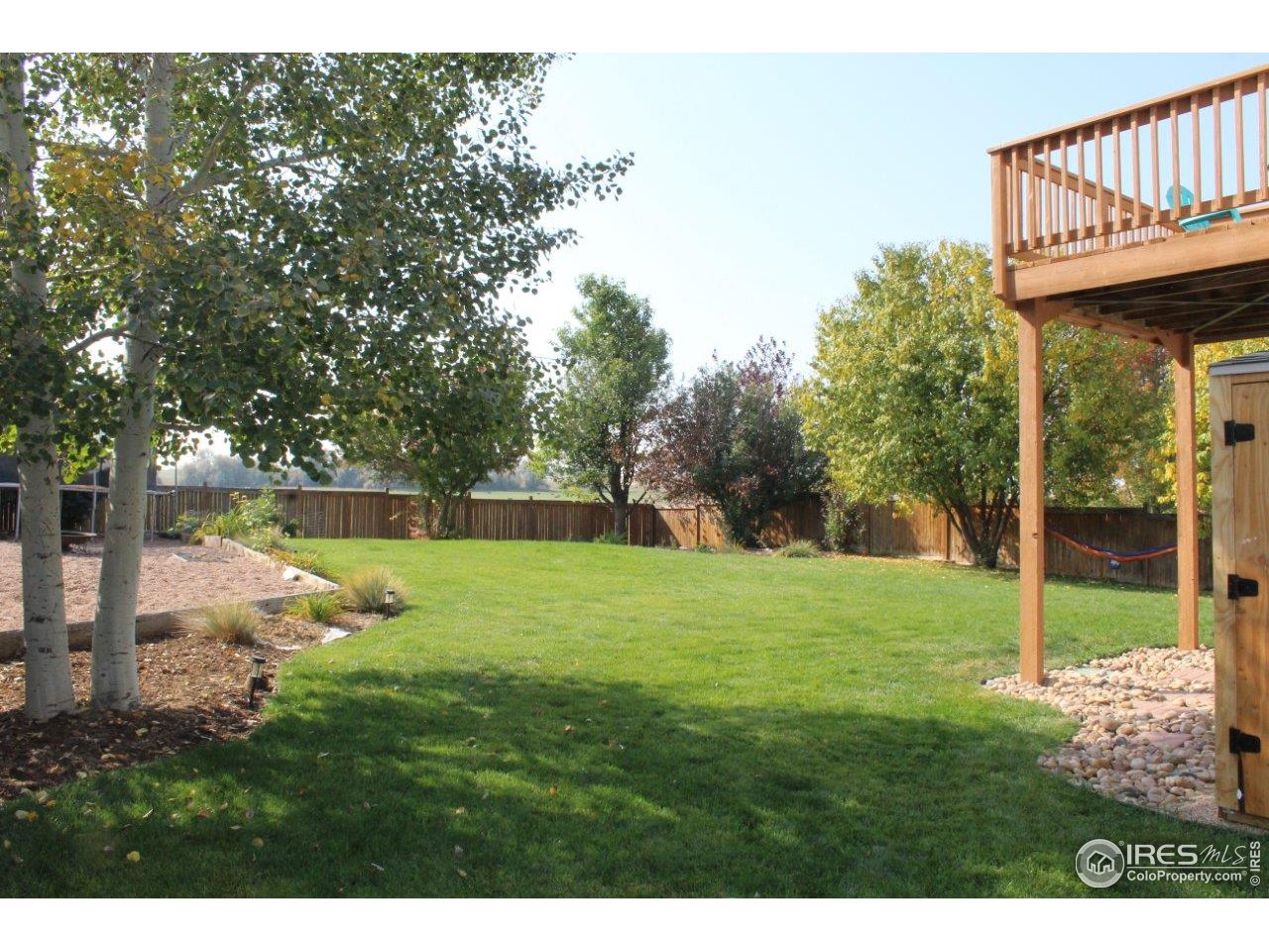 7306 23rd St Road Greeley, CO 80634 - Photo 39 of 40 Mature Trees