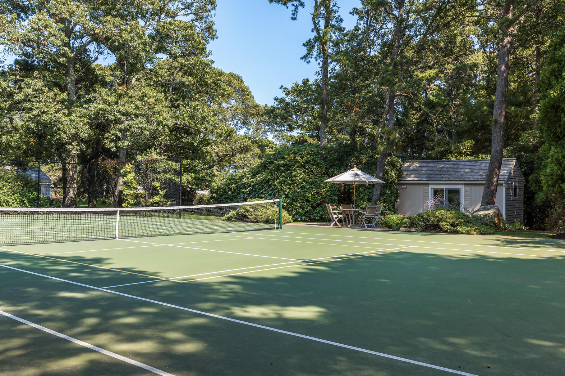 74-75 Viking Road Orleans, MA 02653 - Photo 51 of 69 a view of a swimming pool and a yard with plants and large trees