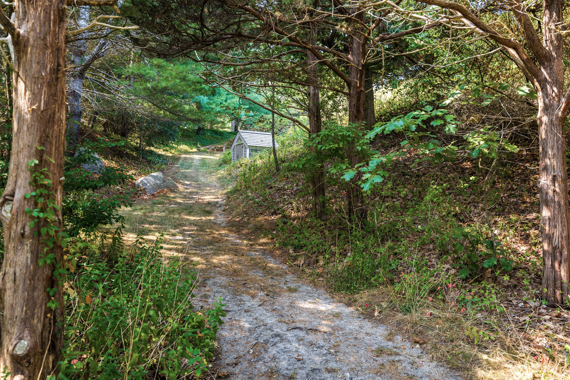 74-75 Viking Road Orleans, MA 02653 - Photo 63 of 69 a backyard of a house with lots of green space and lake view