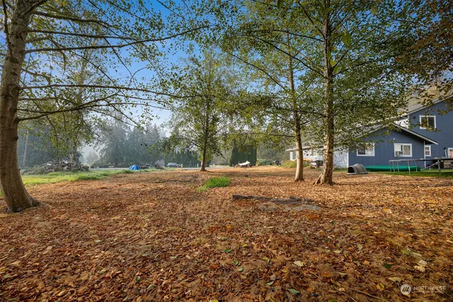 a backyard of a house with lots of green space