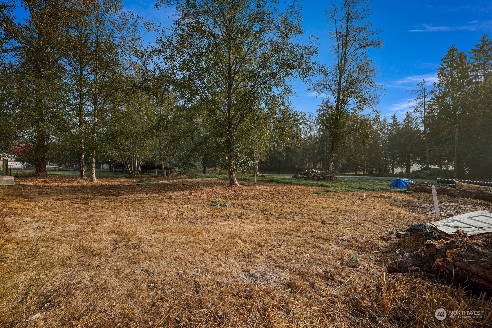 3026 Beaver Place Sedro-Woolley, WA 98284 - Photo 6 of 21 a backyard of a house with lots of green space