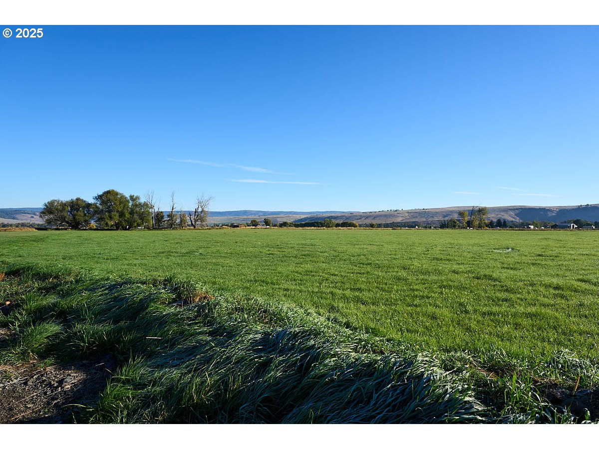 Upper Diamond Lane Wallowa, OR 97885 - Photo 6 of 13 a view of a field with an ocean
