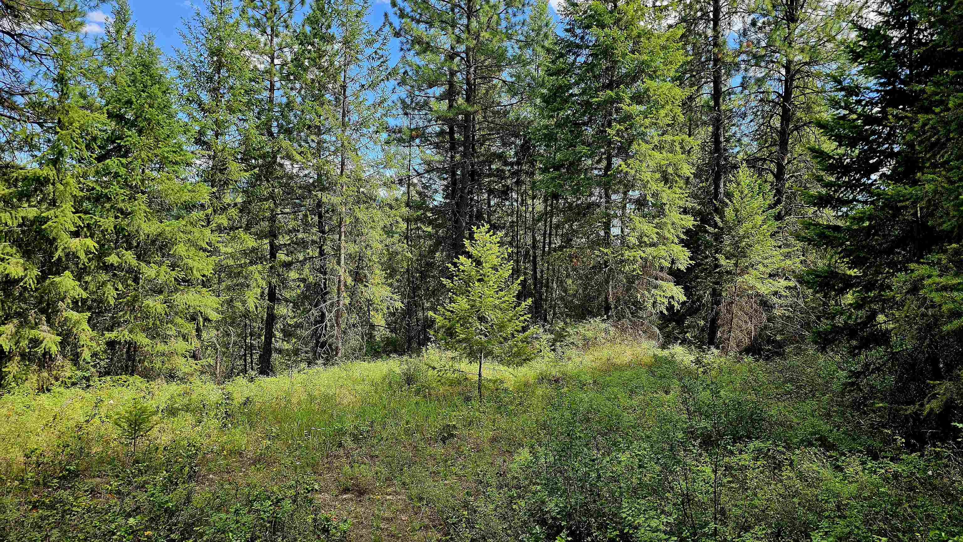 10 Humes Road Kettle Falls, WA 99141 - Photo 4 of 20
