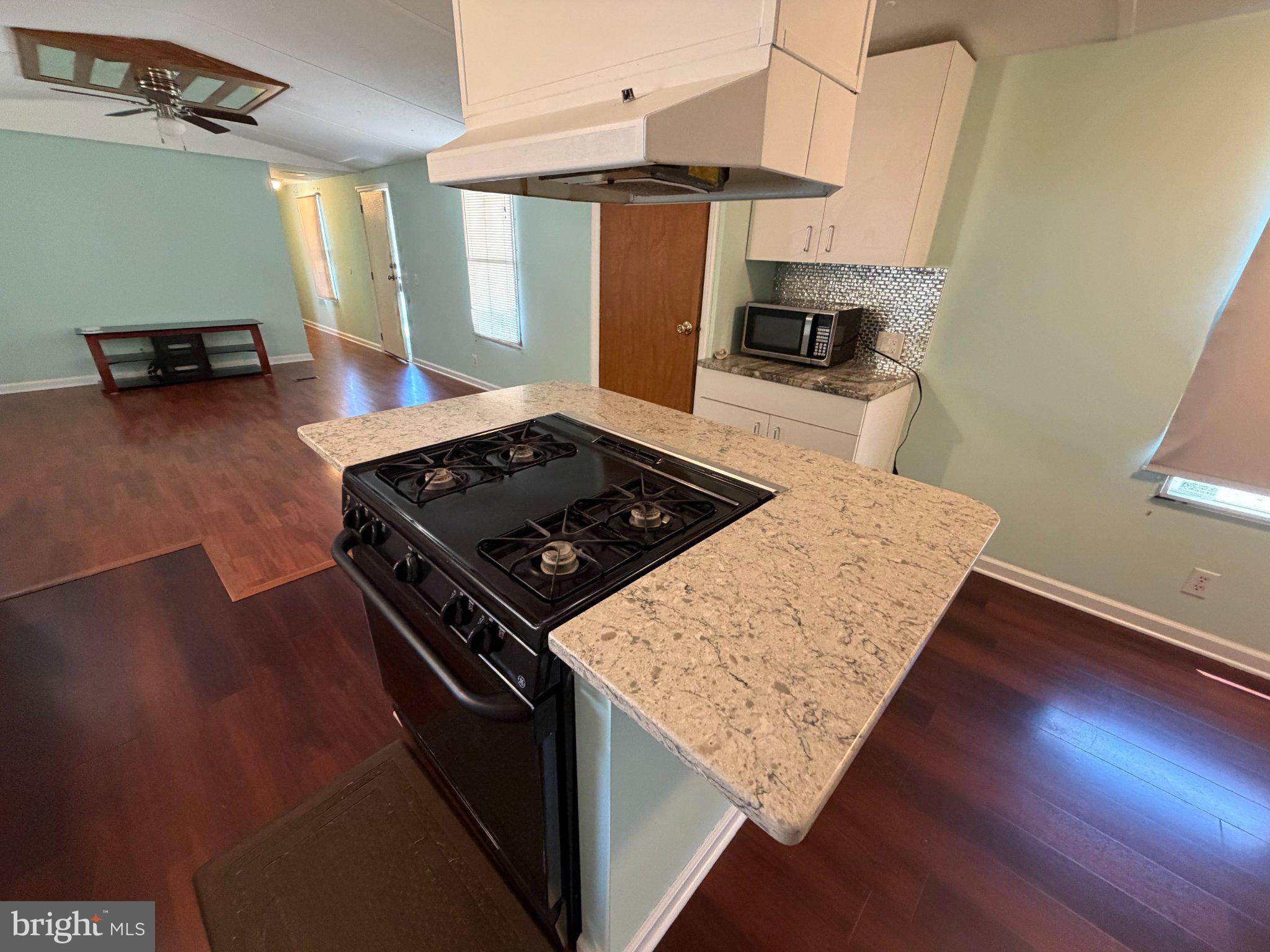 7923 Stork Road Alexandria, VA 22306 - Photo 11 of 17 Modern kitchen with sleek finishes.
