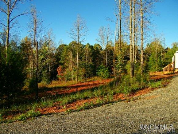188 Worth Lane Rutherfordton, NC 28139 - Photo 14 of 14 a view of a yard with palm trees