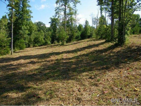 188 Worth Lane Rutherfordton, NC 28139 - Photo 6 of 14 a view of a yard with large trees