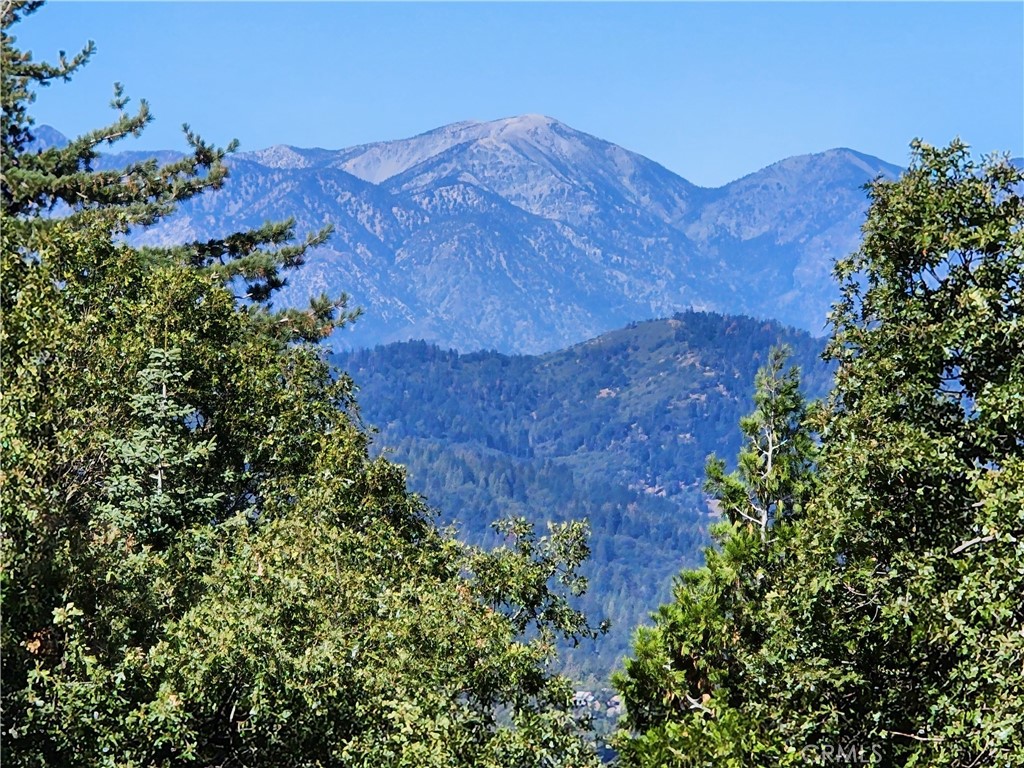 0 North Road Twin Peaks, CA 92391 - Photo 2 of 13