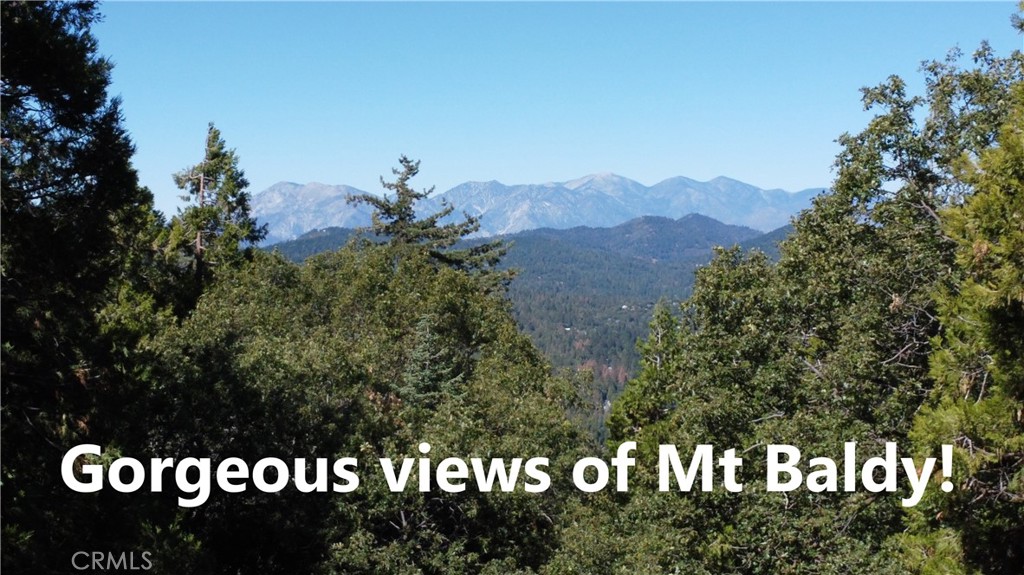 0 North Road Twin Peaks, CA 92391 - Photo 3 of 13