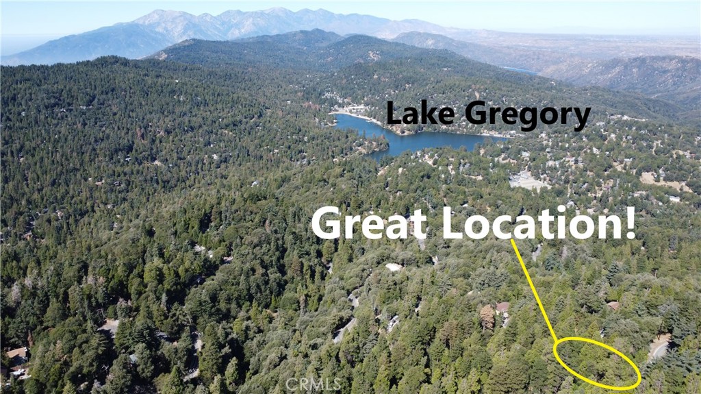 0 North Road Twin Peaks, CA 92391 - Photo 4 of 13