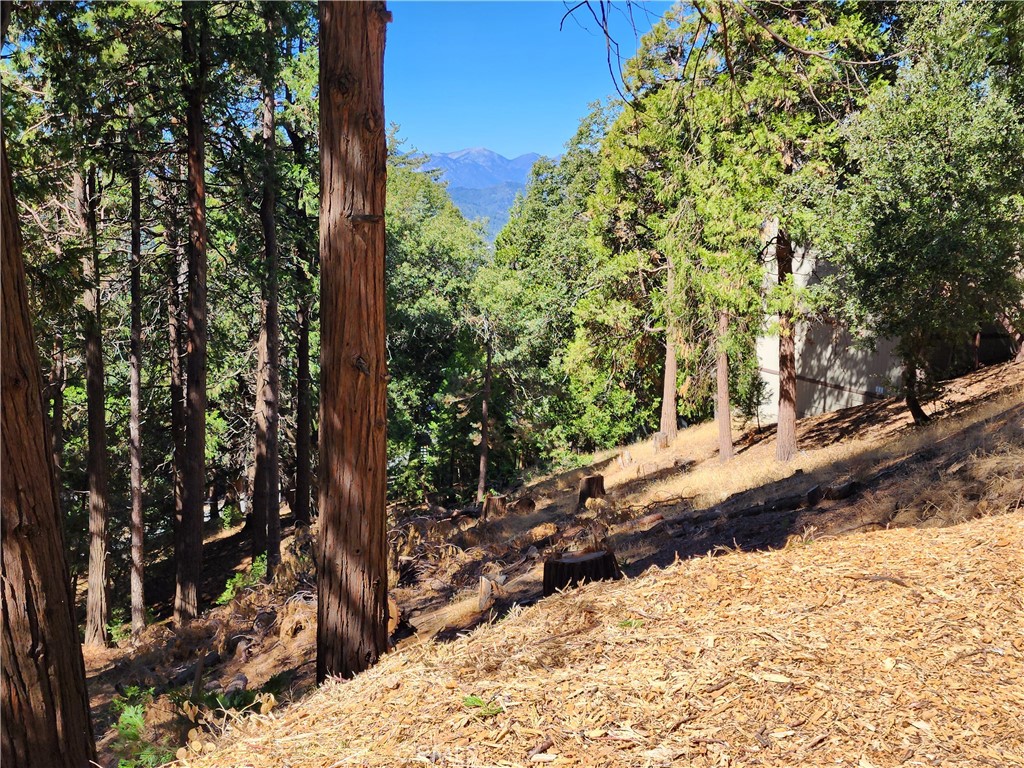 0 North Road Twin Peaks, CA 92391 - Photo 5 of 13