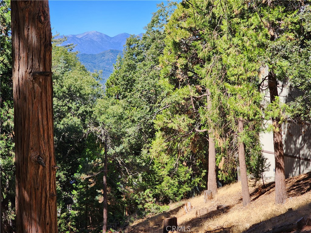 0 North Road Twin Peaks, CA 92391 - Photo 6 of 13