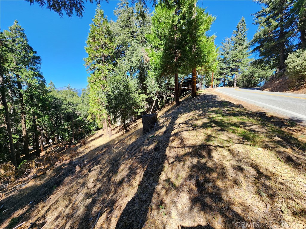 0 North Road Twin Peaks, CA 92391 - Photo 7 of 13