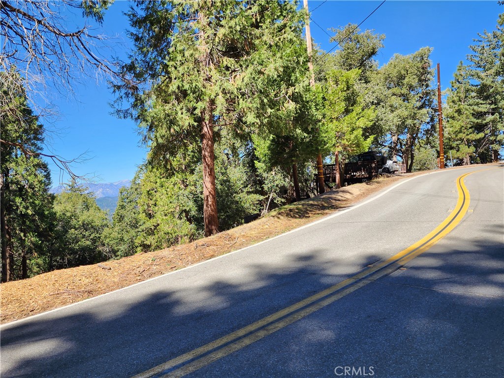 0 North Road Twin Peaks, CA 92391 - Photo 8 of 13