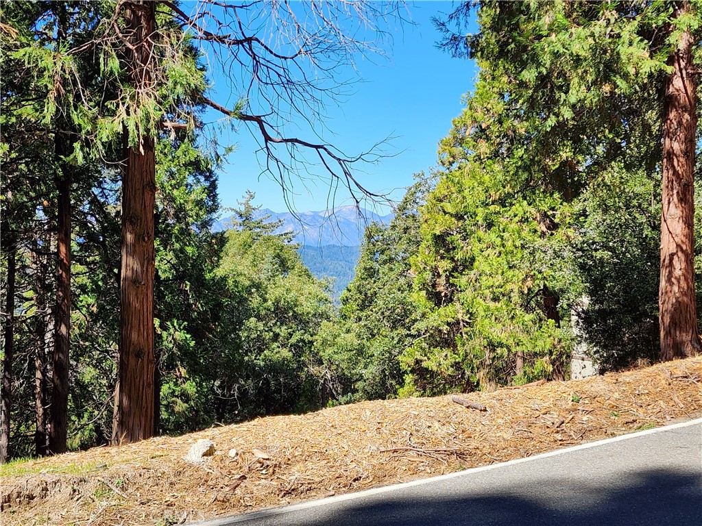 0 North Road Twin Peaks, CA 92391 - Photo 9 of 13