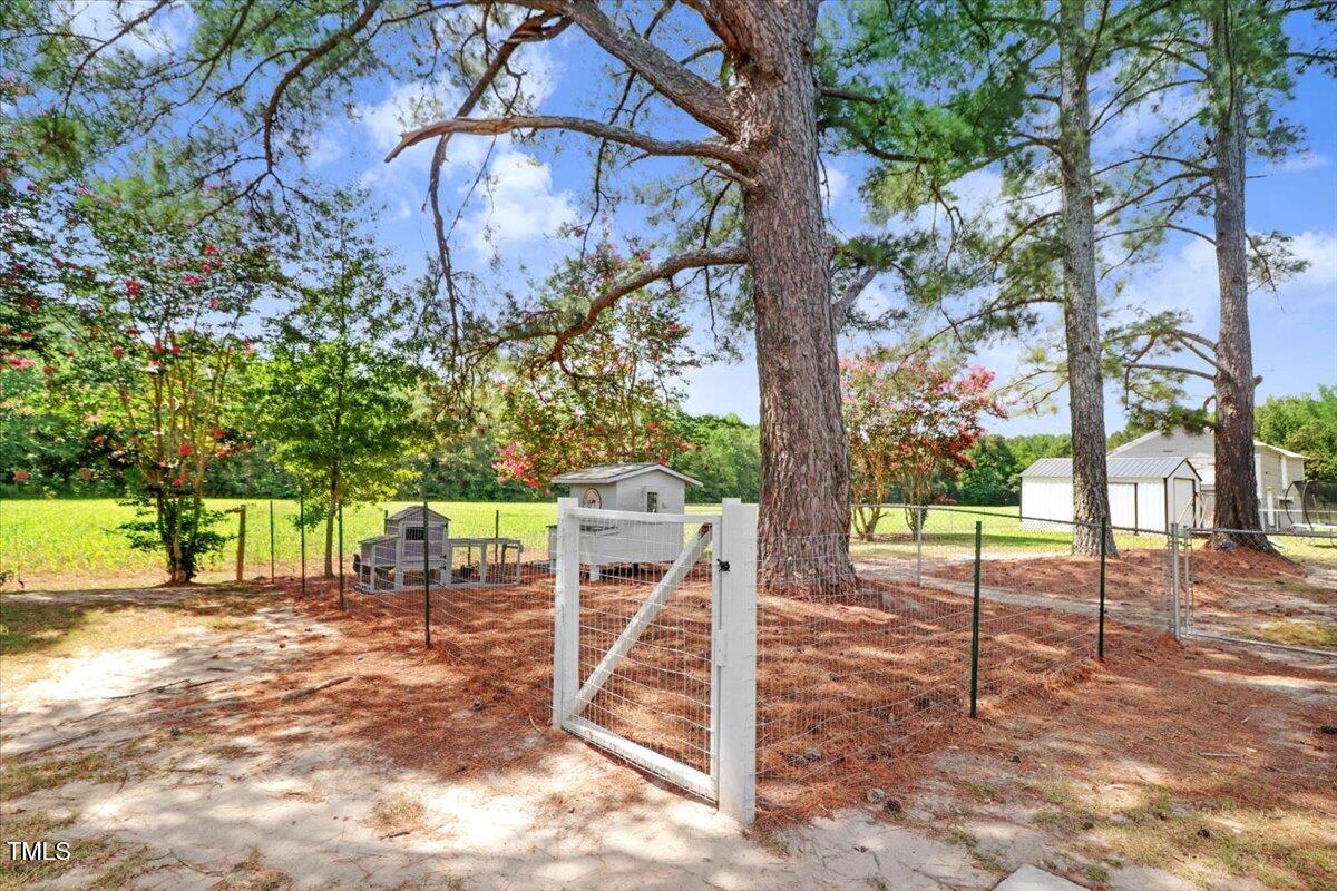 175 Debro Road Kenly, NC 27542 - Photo 29 of 30 a view of a yard with a tree