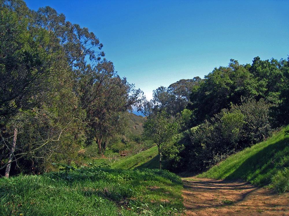 988 Miramonte Drive, Unit 7 Santa Barbara, CA 93109 - Photo 3 of 15 Hiking at Hondo Park