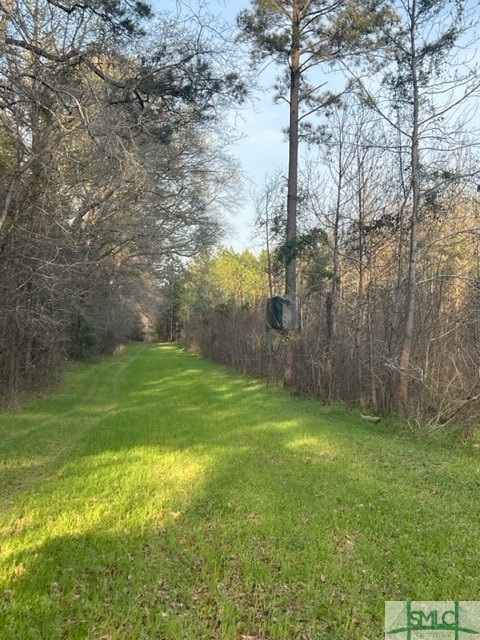 0 Parker Road Sylvania, GA 30467 - Photo 3 of 4 Gallery Image 3