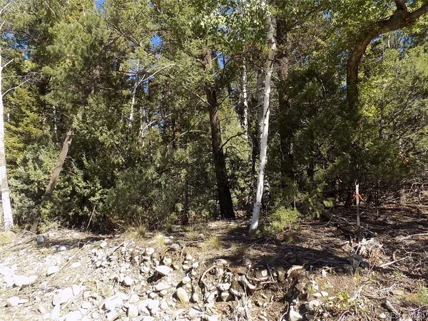 $25,000 | Zapata Court, Mosca, CO 81146