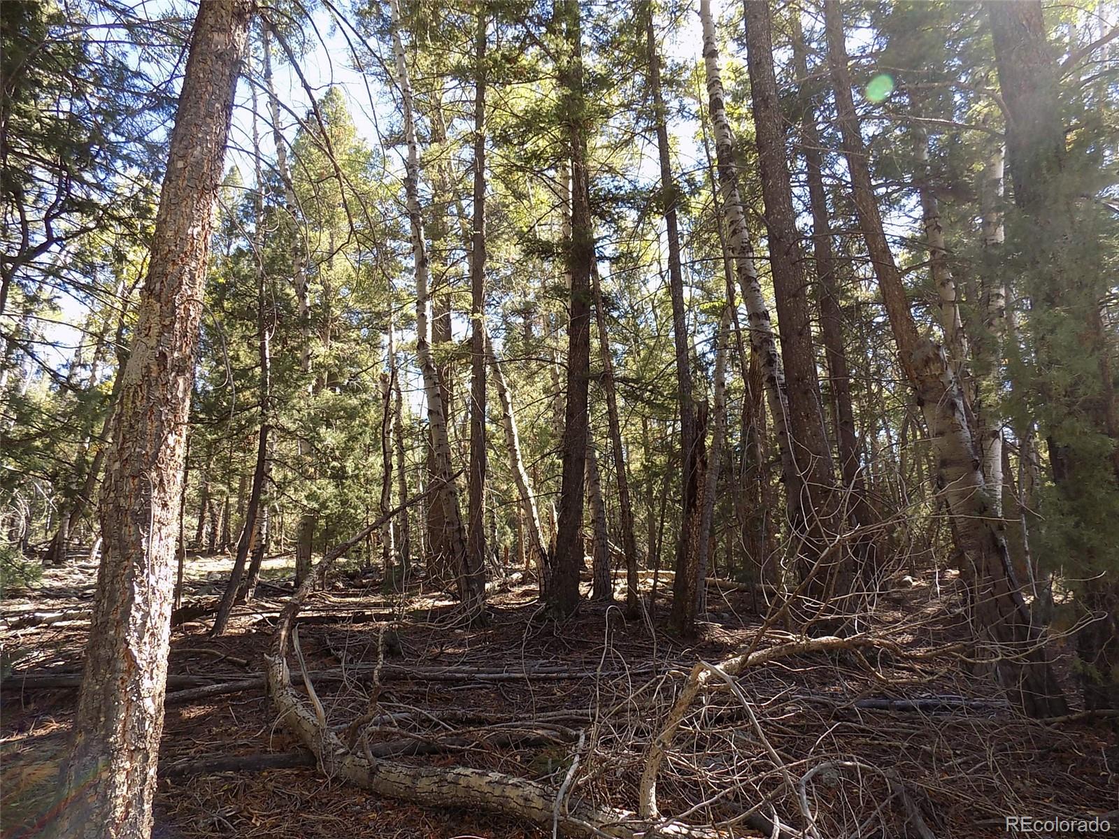 Zapata Court Mosca, CO 81146 - Photo 11 of 21