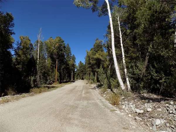 $25,000 | Zapata Court, Mosca, CO 81146