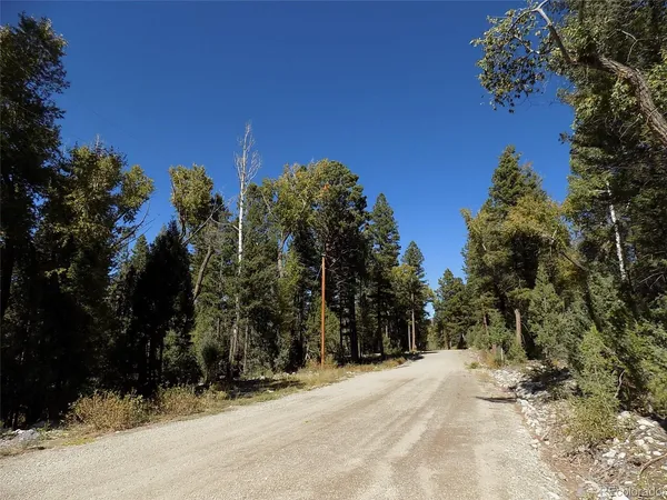 $25,000 | Zapata Court, Mosca, CO 81146