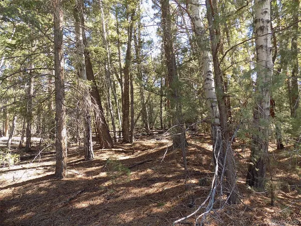 $25,000 | Zapata Court, Mosca, CO 81146