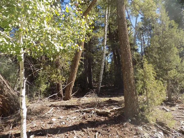 $25,000 | Zapata Court, Mosca, CO 81146