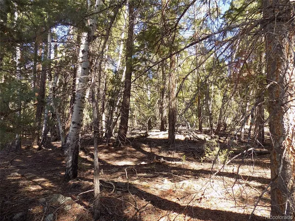 $25,000 | Zapata Court, Mosca, CO 81146