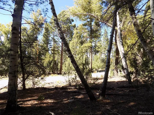 $25,000 | Zapata Court, Mosca, CO 81146