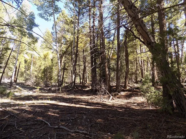 $25,000 | Zapata Court, Mosca, CO 81146