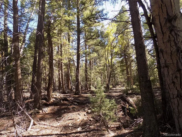 $25,000 | Zapata Court, Mosca, CO 81146