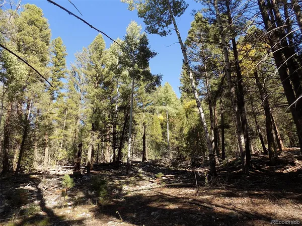 $25,000 | Zapata Court, Mosca, CO 81146