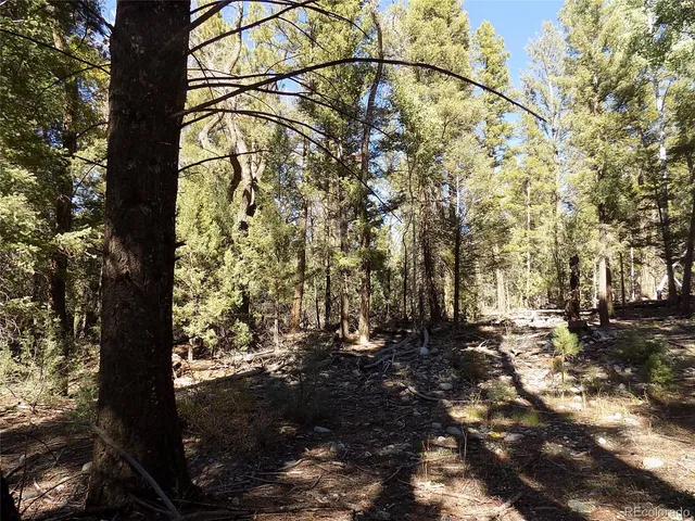 $25,000 | Zapata Court, Mosca, CO 81146