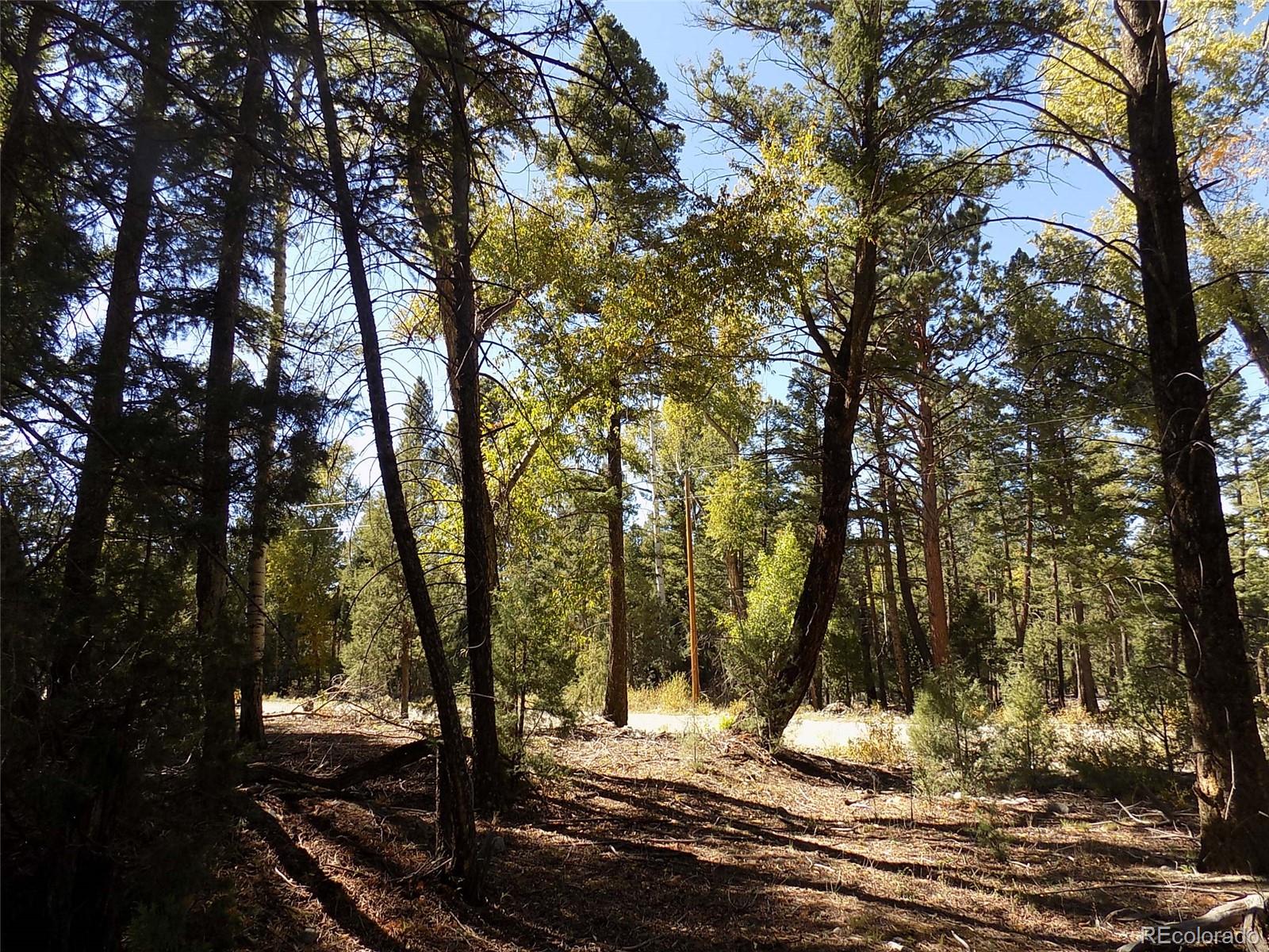 Zapata Court Mosca, CO 81146 - Photo 10 of 21