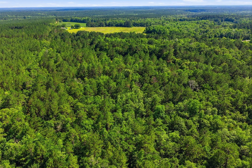 Lot #5 Crosby Clark Road Opp, AL 36467 - Photo 3 of 11