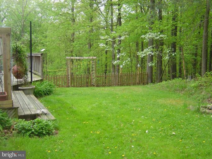 138 Windy Pines Road Front Royal, VA 22630 - Photo 16 of 17 a view of a park with large trees