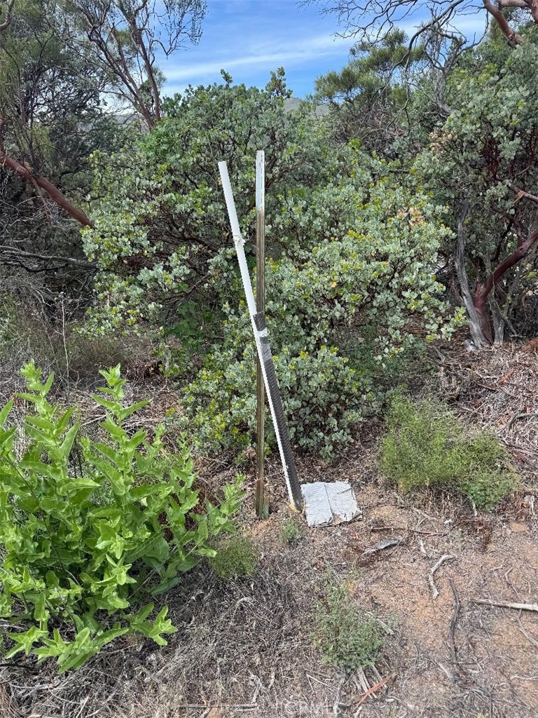 0 Murray Hills Road Anza, CA 92539 - Photo 11 of 18