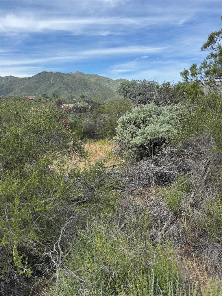 0 Murray Hills Road Anza, CA 92539 - Photo 12 of 18