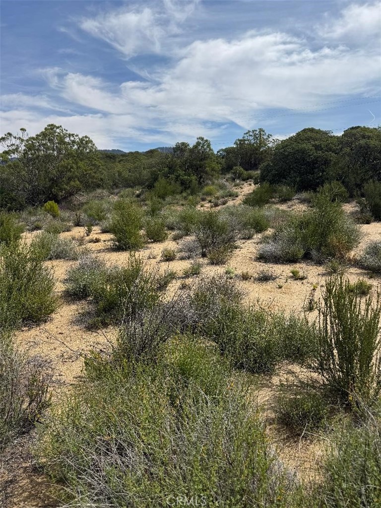 0 Murray Hills Road Anza, CA 92539 - Photo 13 of 18