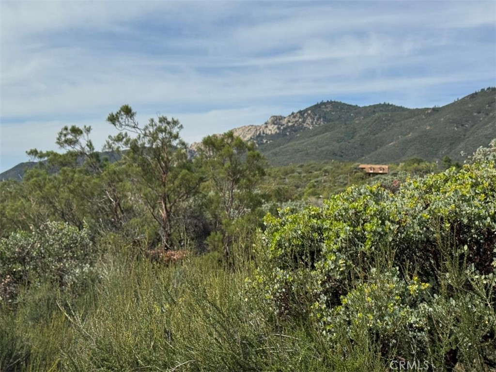 0 Murray Hills Road Anza, CA 92539 - Photo 15 of 18