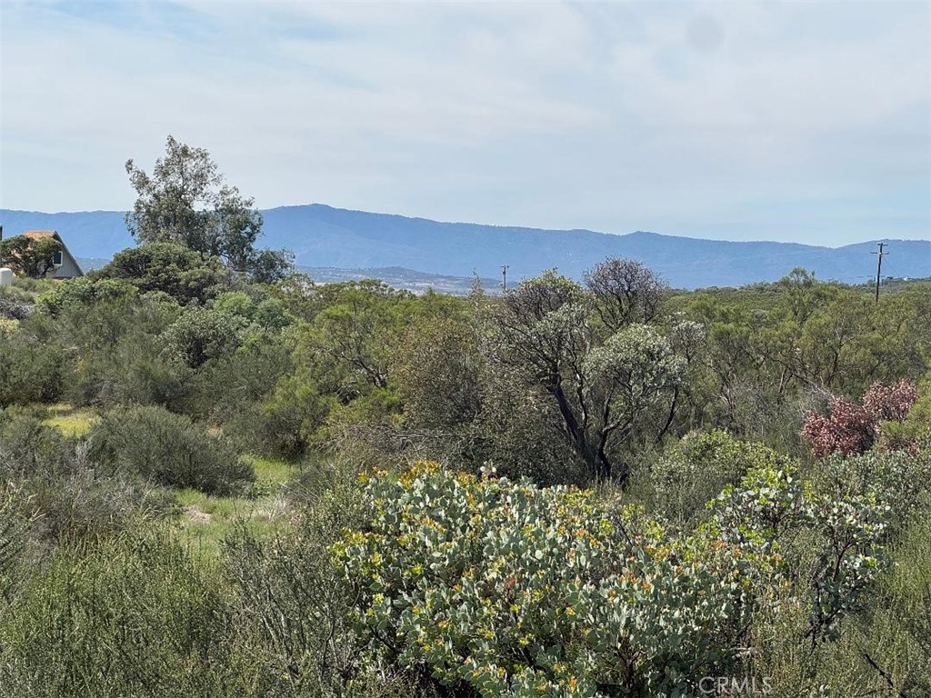 0 Murray Hills Road Anza, CA 92539 - Photo 16 of 18