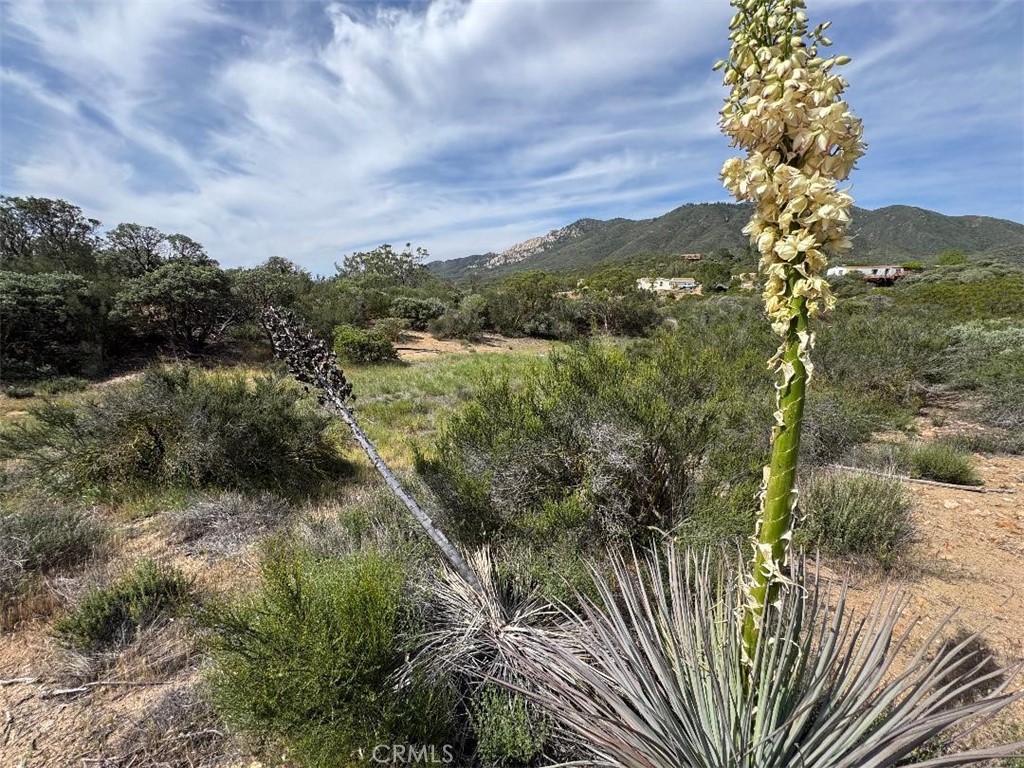 0 Murray Hills Road Anza, CA 92539 - Photo 17 of 18