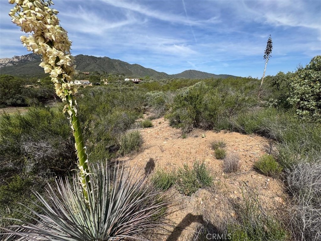 0 Murray Hills Road Anza, CA 92539 - Photo 18 of 18