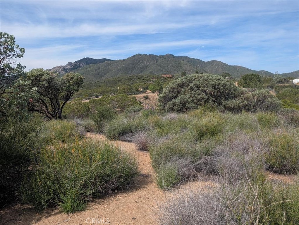 0 Murray Hills Road Anza, CA 92539 - Photo 3 of 18